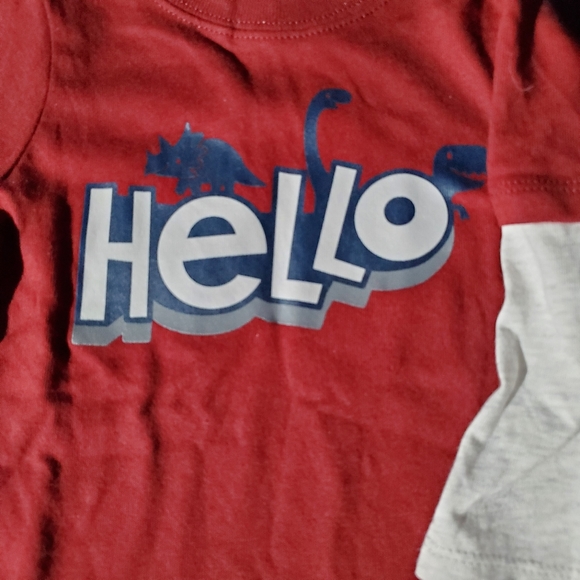 Boys Toddler Teeshirts Set of 2 - Picture 5 of 11